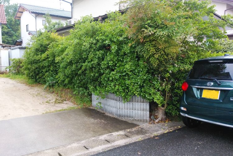 外構リフォーム前の外構の様子 隣地との境界の植木
