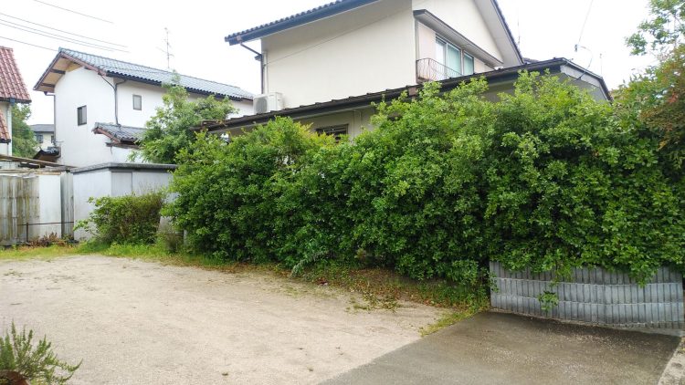 外構リフォーム前の外構の様子 隣地との境界の植木